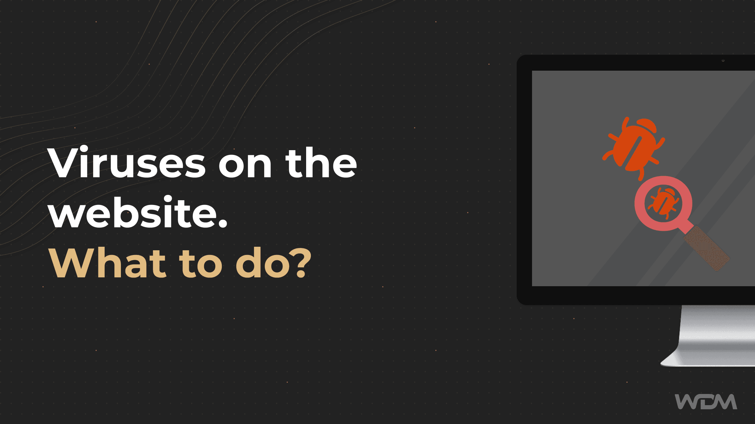 Viruses on the website – what to do?