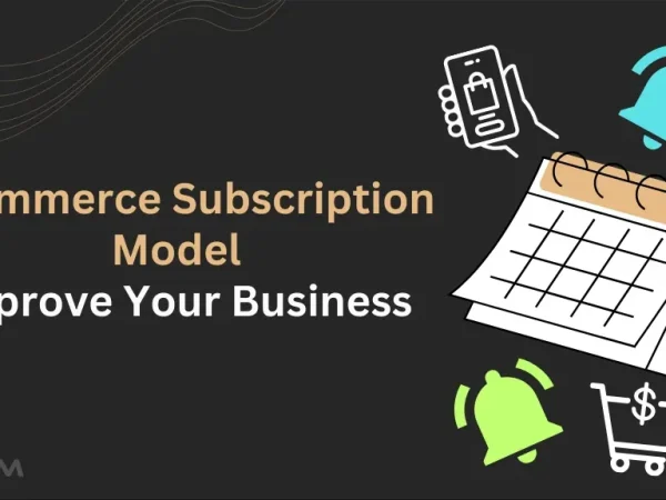 68e61da2e343db2fd6cedac4 Ecommerce subscription model e1704884116313