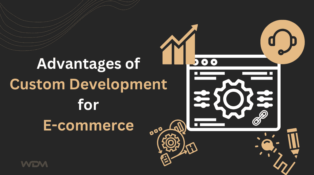 Advantages of Custom Development for Ecommerce