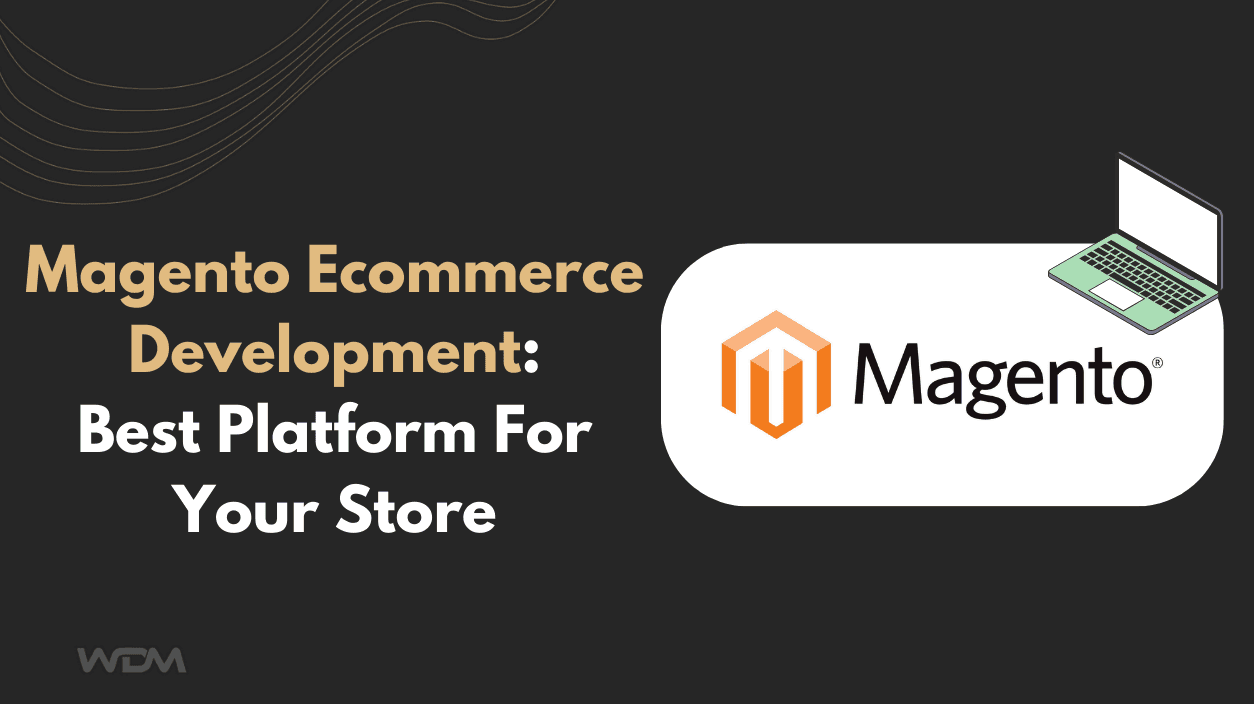 Magento Ecommerce Development: Best Platform For Your Store