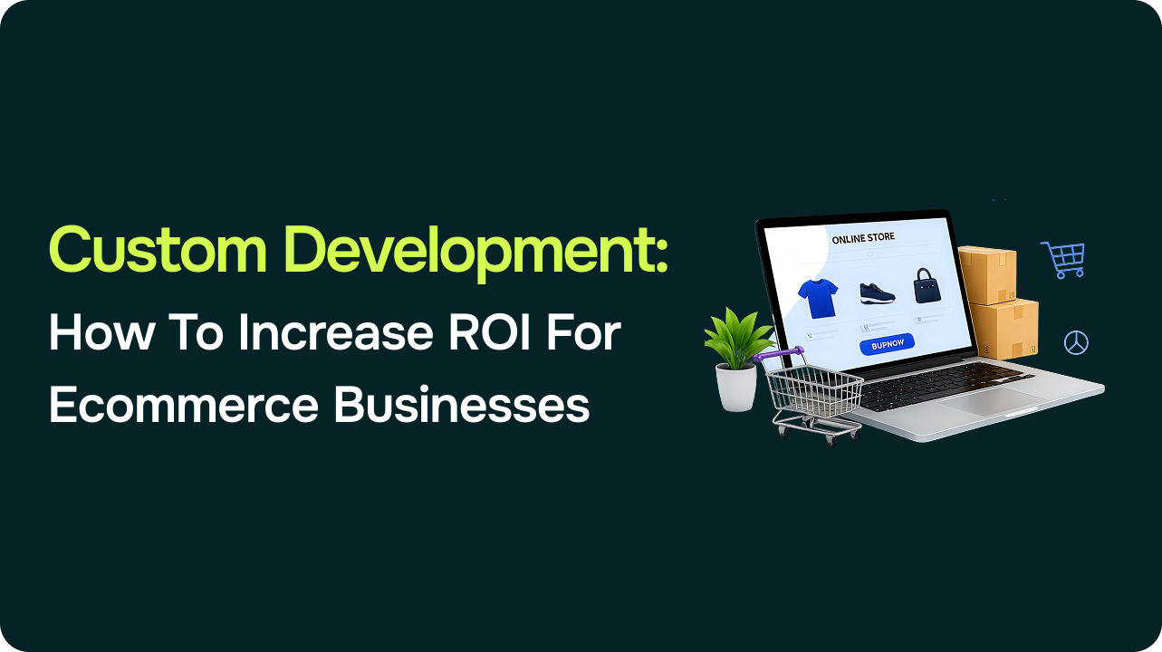 Custom Development: How To Increase ROI For Ecommerce Businesses