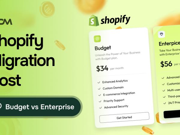 Shopify Migration Cost: Budget vs Enterprise